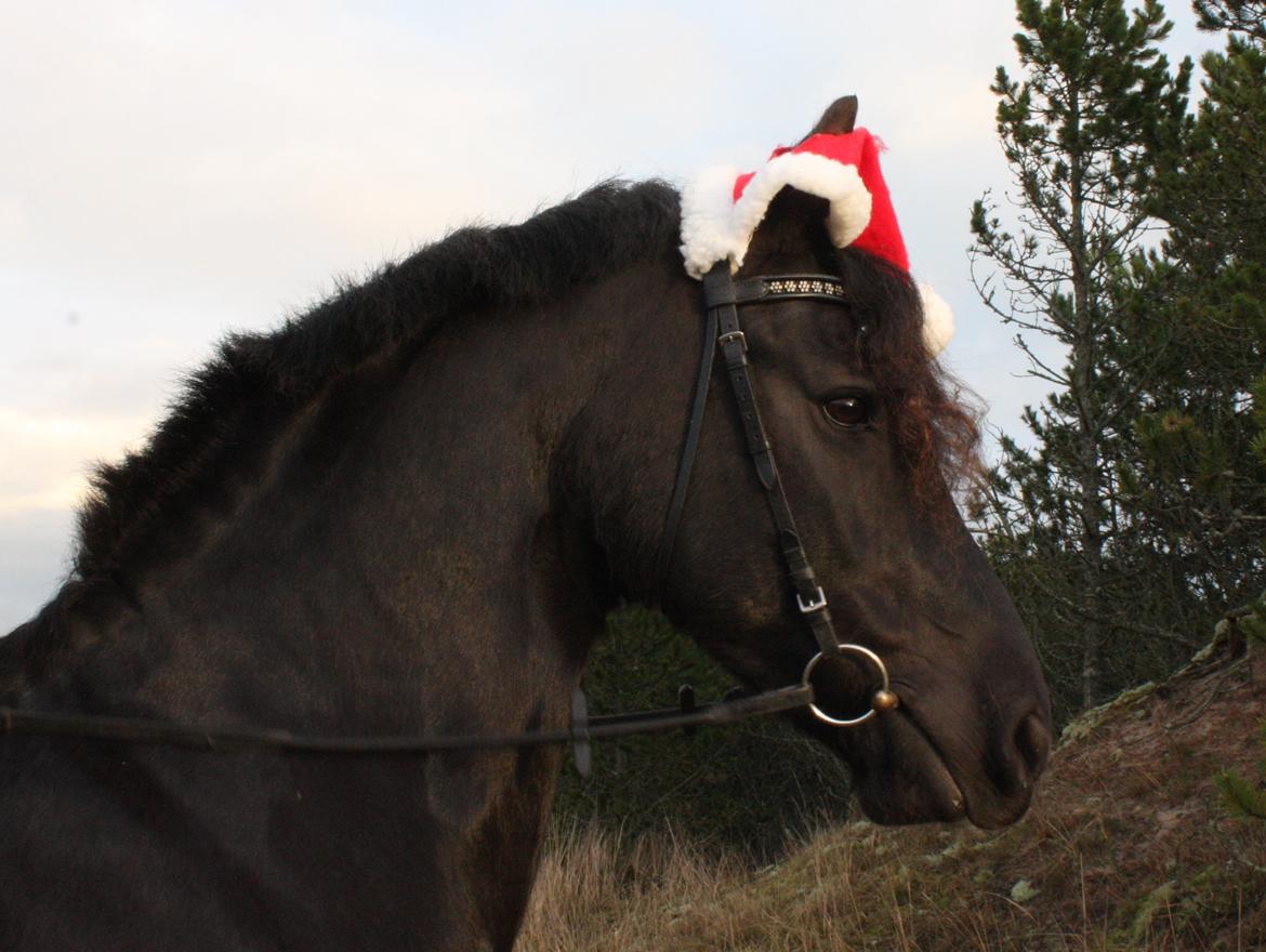 Frieser Ilja Varla J. - Julen 2014 billede 9