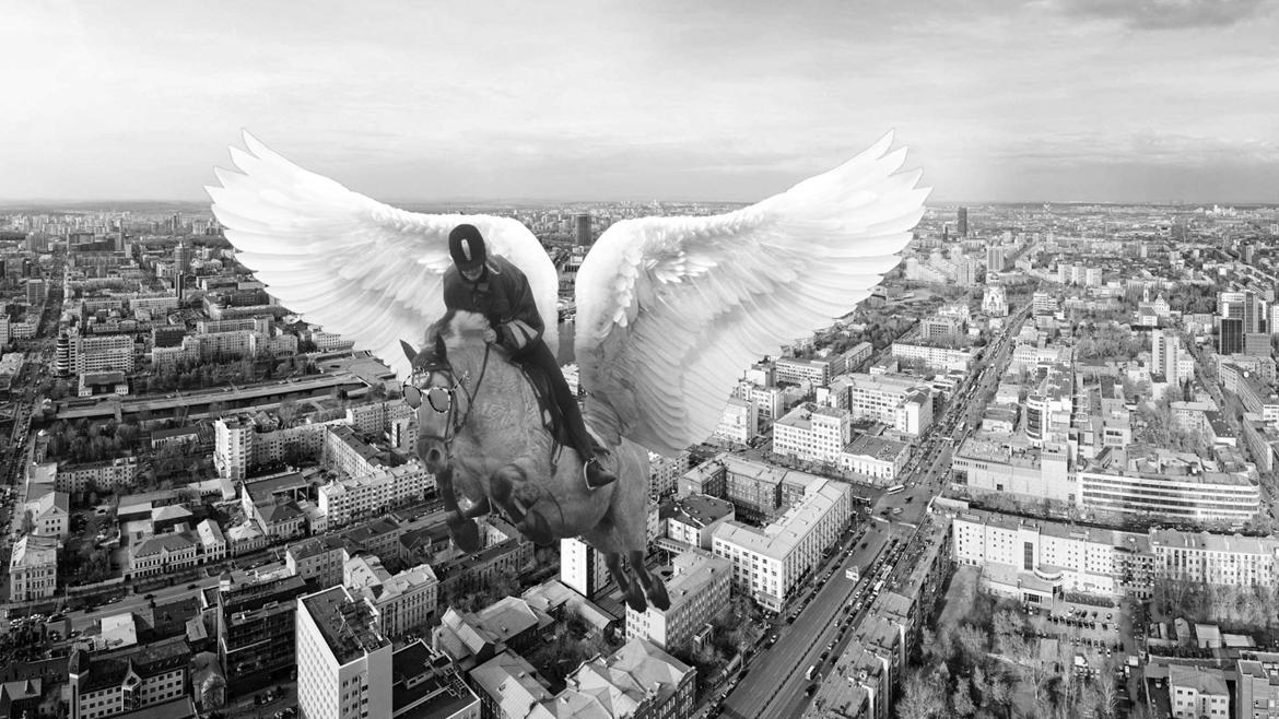 Fjordhest Musti tyler billede 17