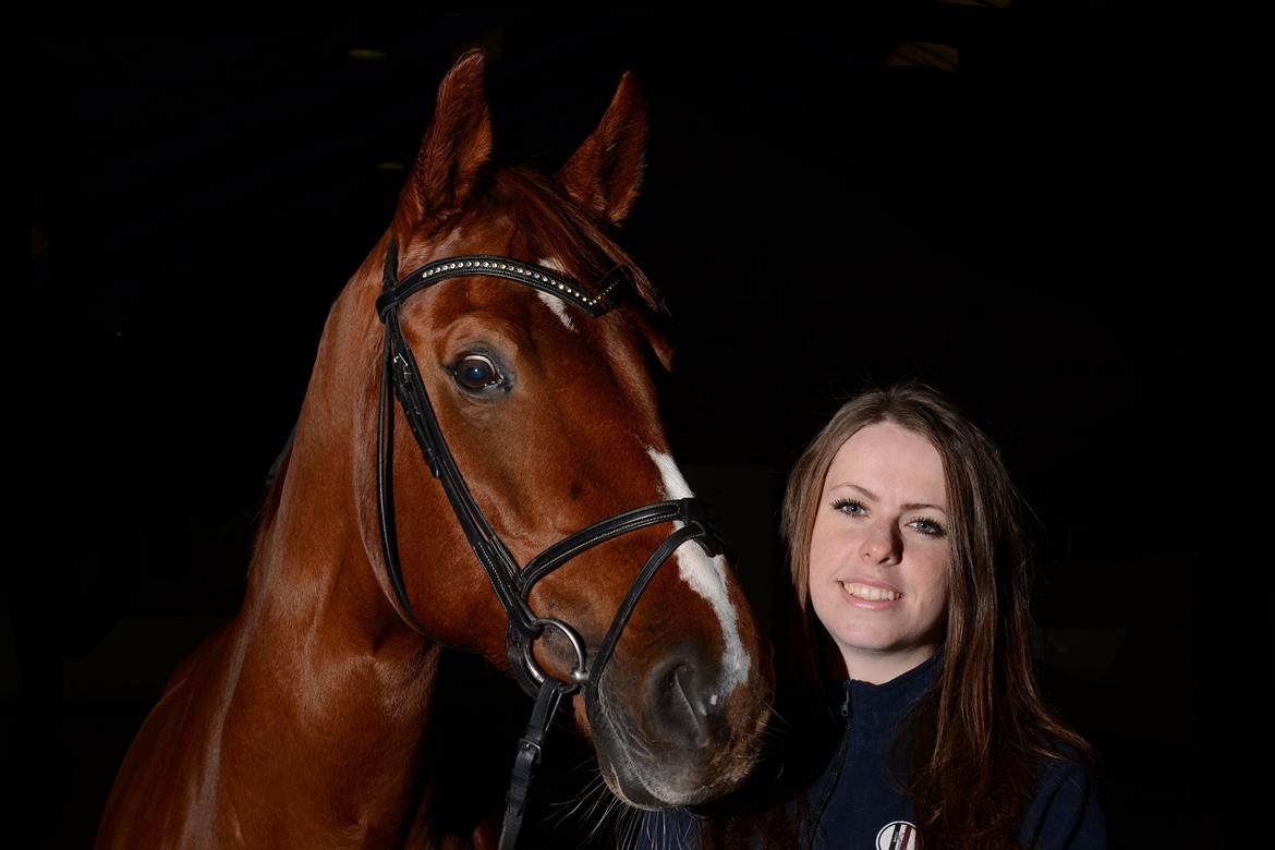 Dansk Varmblod Monique billede 1