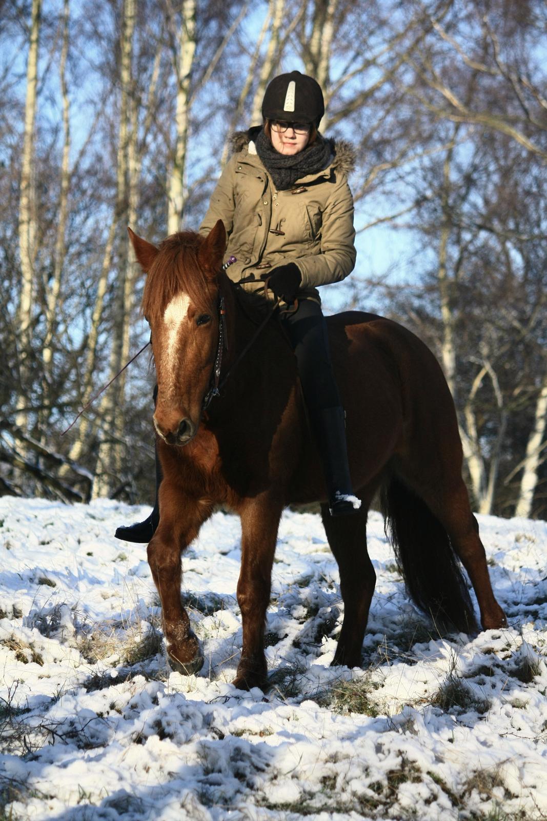 Anden særlig race | Galina Desire billede 3