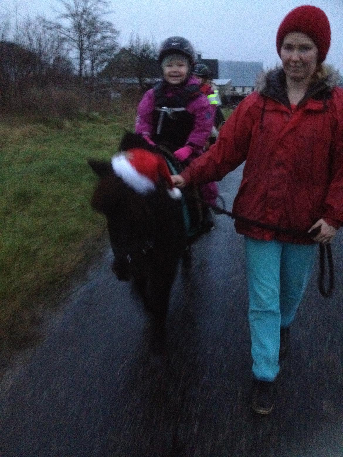 Anden særlig race Louie ( Herkules hos forige ejer ) billede 1