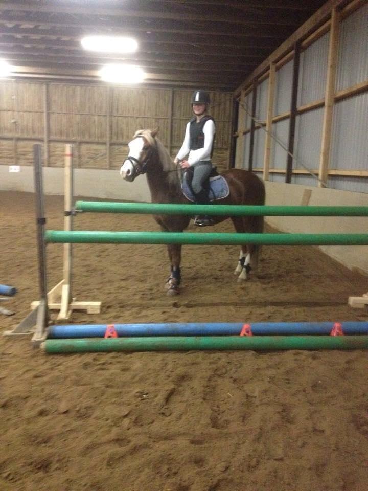 Anden særlig race Lac Lemon Lakriz ( soulmate) billede 7