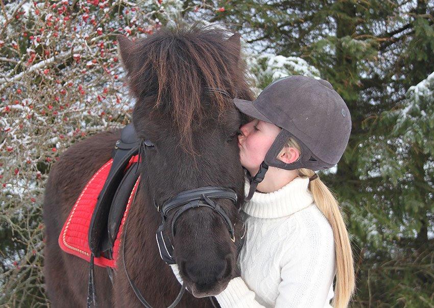 Islænder Bokki fra Hjulgården - Jule kys♥ 28-12 billede 17