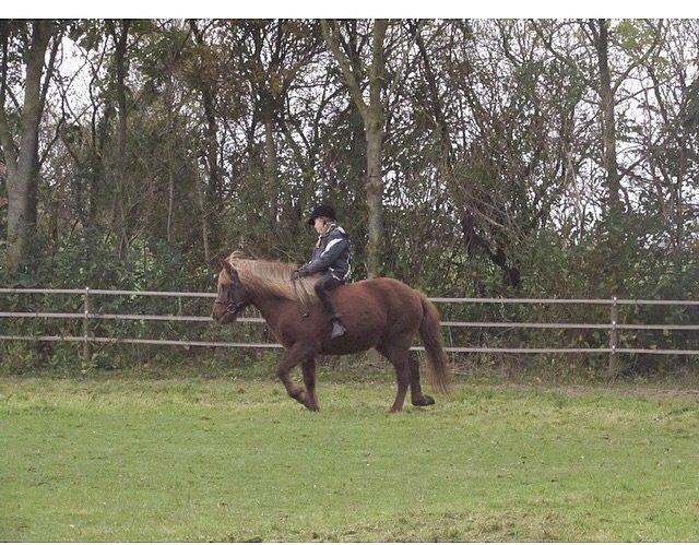 Islænder Saga billede 12