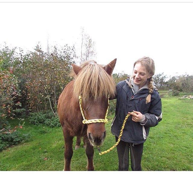 Islænder Saga billede 13