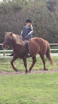 Islænder Saga billede 14