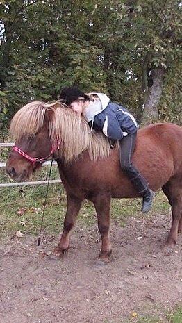 Islænder Saga billede 15