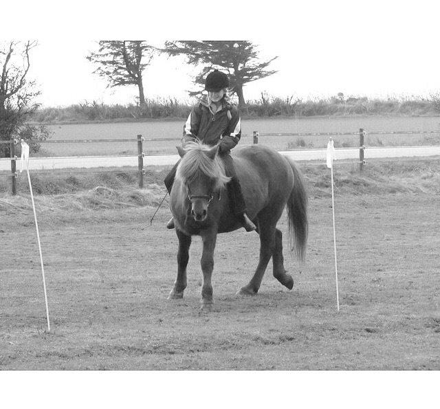 Islænder Saga billede 16