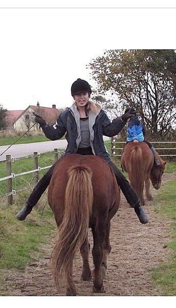 Islænder Saga billede 17