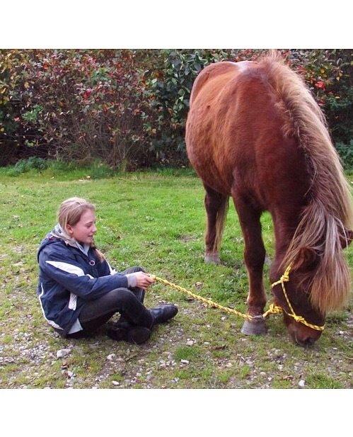 Islænder Saga billede 18