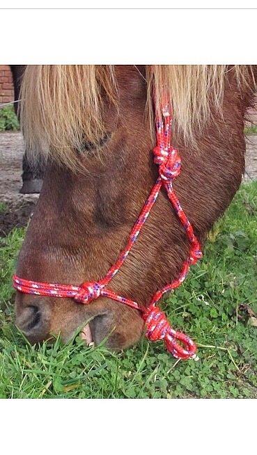 Islænder Saga billede 19