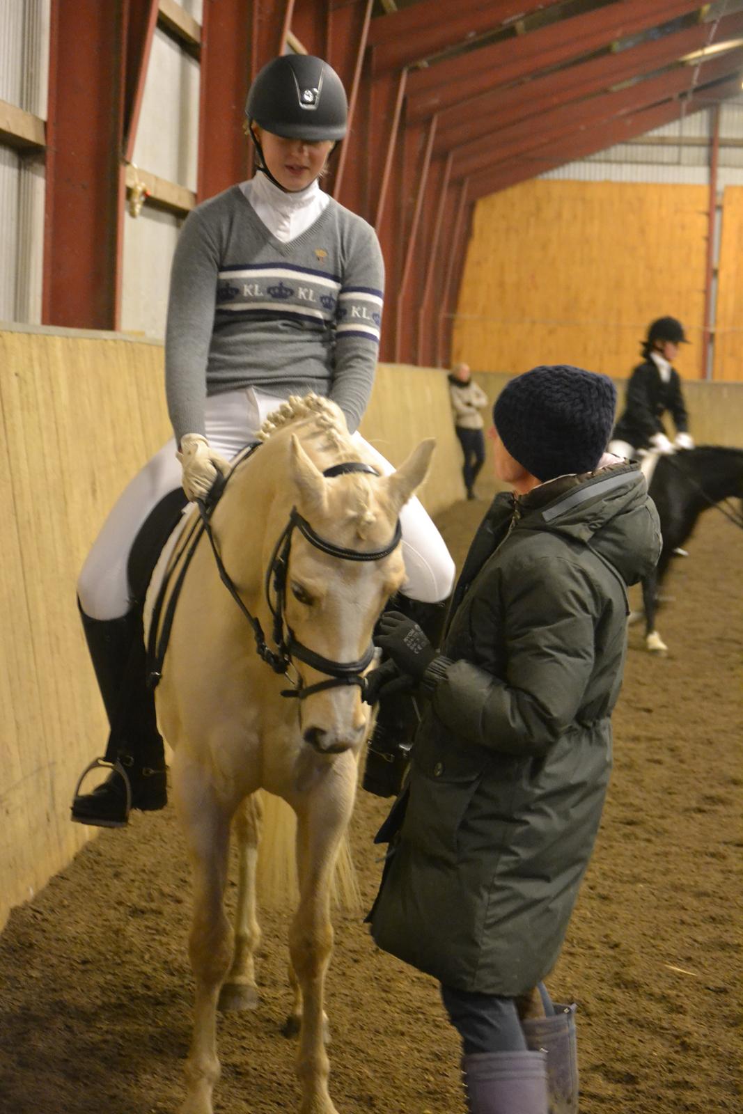 Hollandsk Sportspony High Flown`s Brittany Gold - På opvarmningen:) billede 1