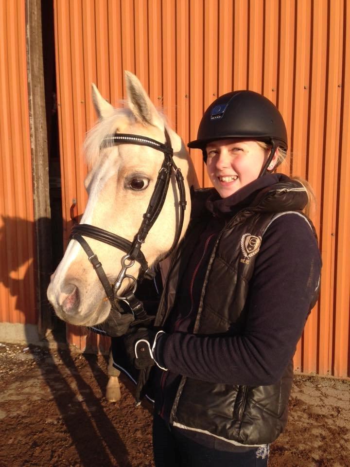 Hollandsk Sportspony High Flown`s Brittany Gold - Verdens bedste Gucci<3 billede 5