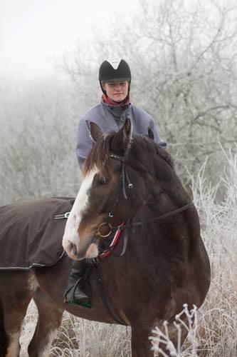 Holstener Anton - På tur i kulden :-) Foto: Kirsten  billede 4