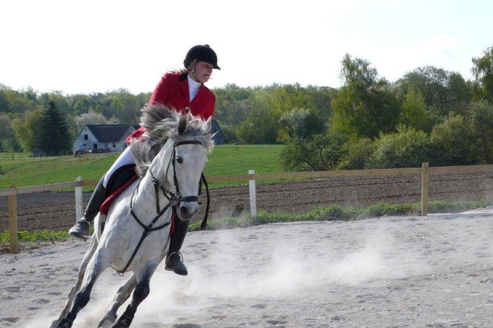 Anden særlig race Windrose's Athena - Stævne på GBR billede 13