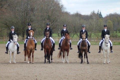 Anden særlig race Patricia billede 1
