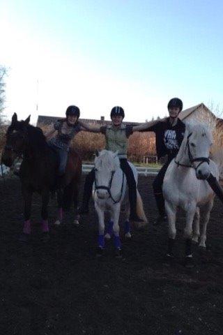 Anden særlig race Patricia billede 2