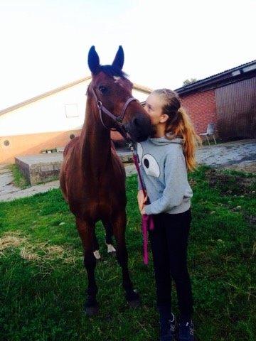 Anden særlig race Patricia billede 4