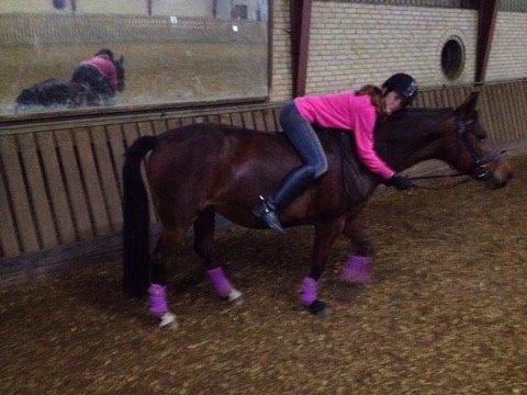 Anden særlig race Patricia billede 5