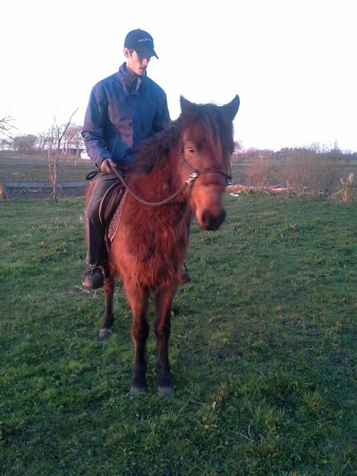 Anden særlig race Højersmindes Ofelia billede 6