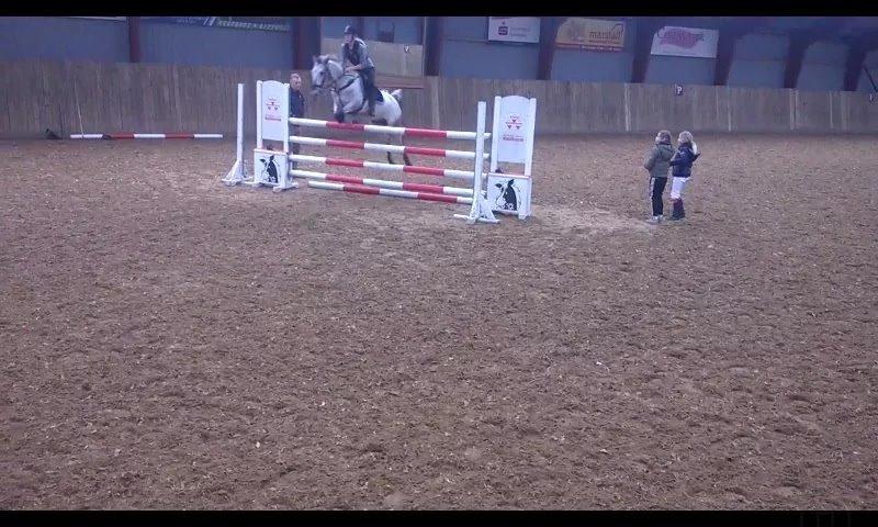 Knabstrupper Rufus den almægtige billede 6