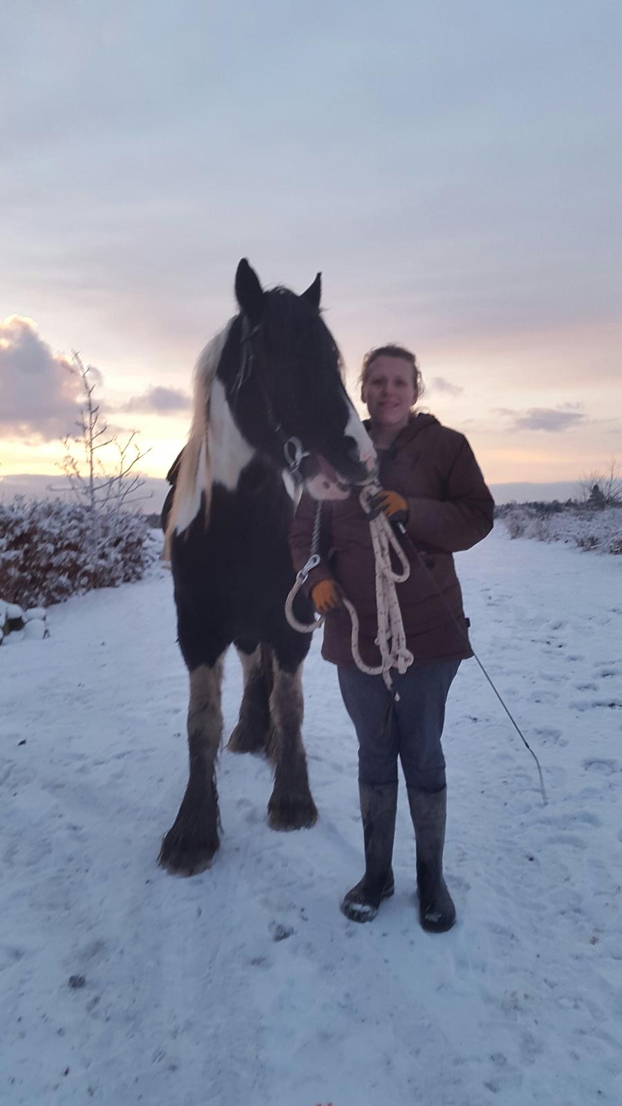 Tinker King Aeden billede 3