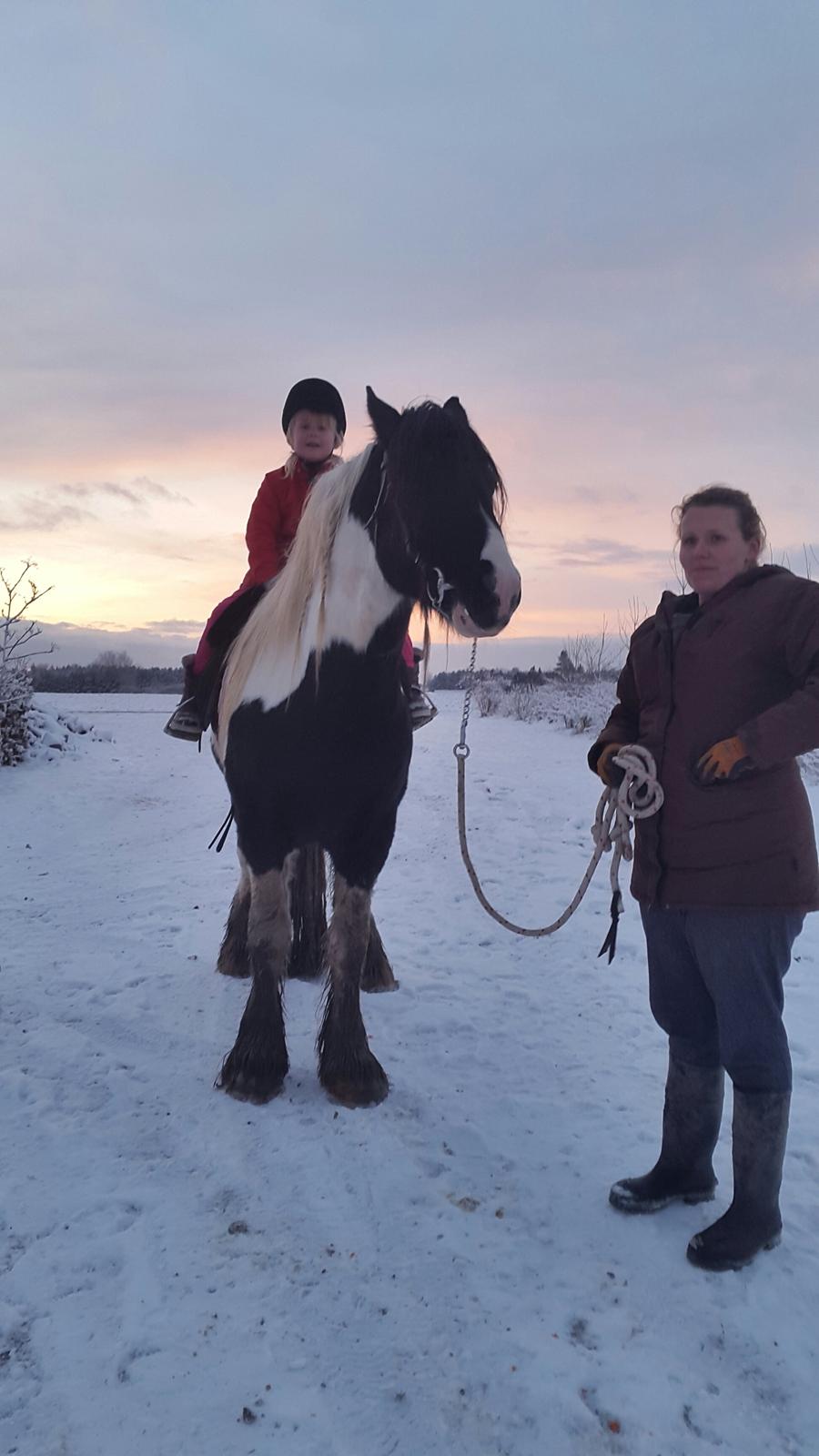 Tinker King Aeden billede 2