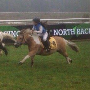 Anden særlig race Nice Suprice (Connie)  billede 6