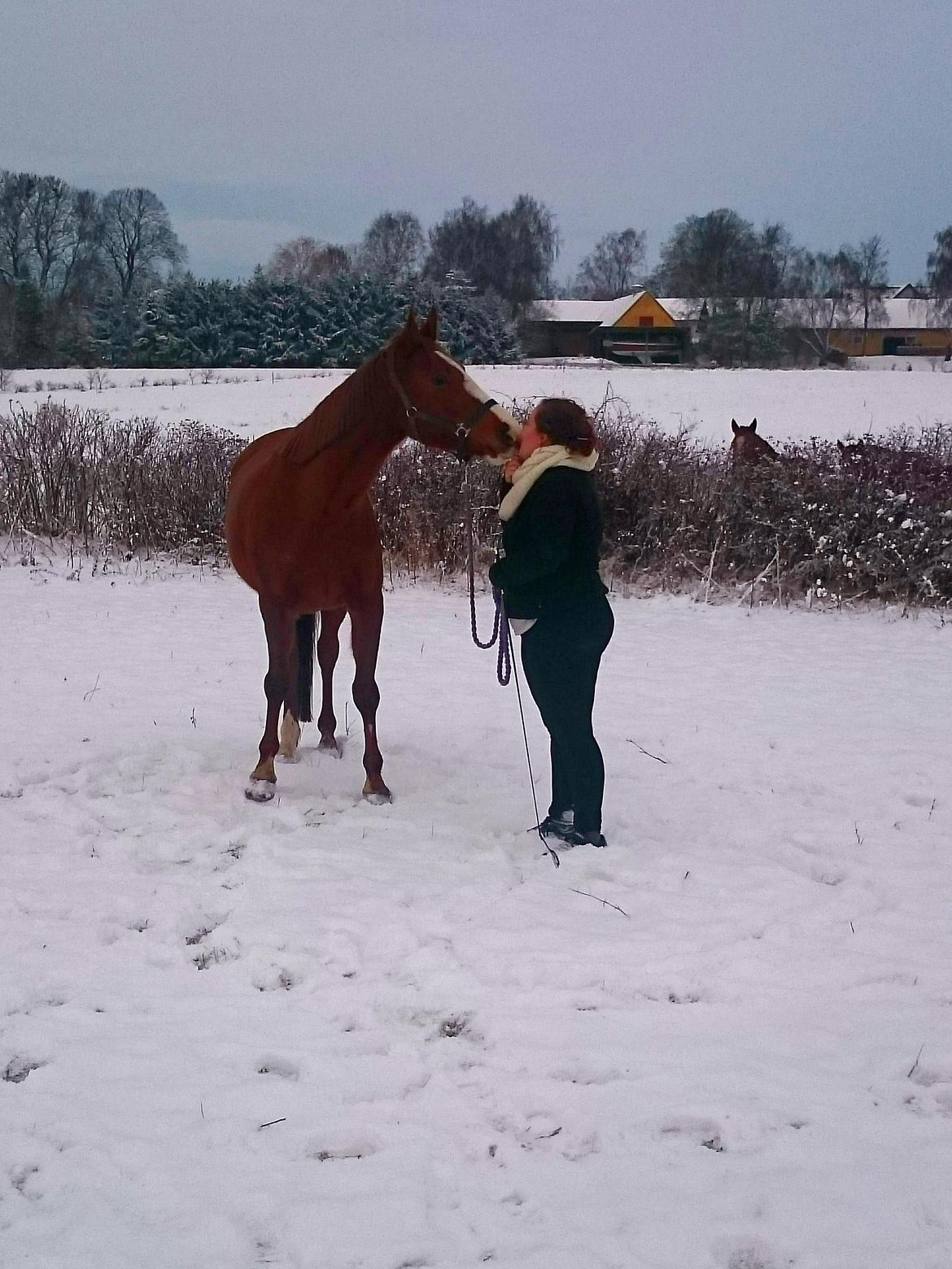 Anden særlig race Magnifique Etóo   - Mys Mys ! <3  billede 12