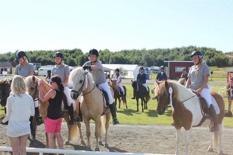 Islænder Gæfa fra Hejelte  - Imir fra Hejlte placret i svensk mester i ponygames 2012 billede 11