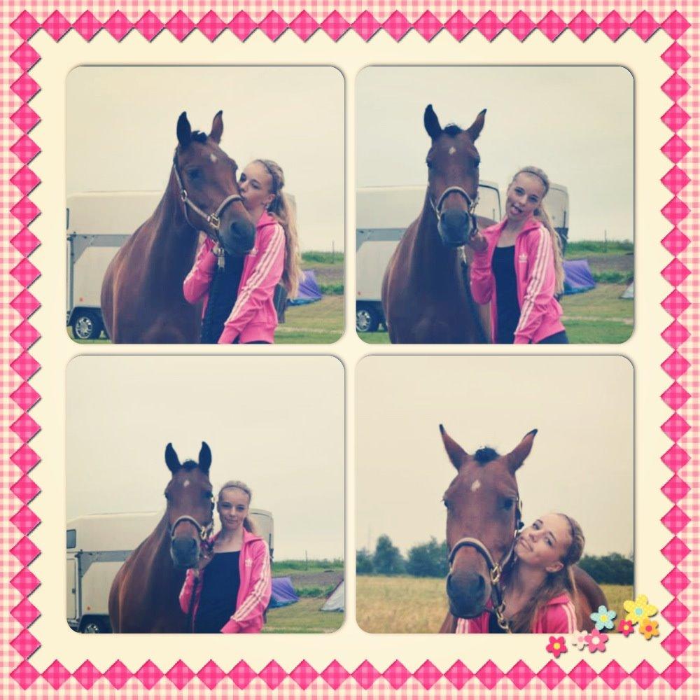 New Forest Angelina Bay -Drømmeponyen- billede 16