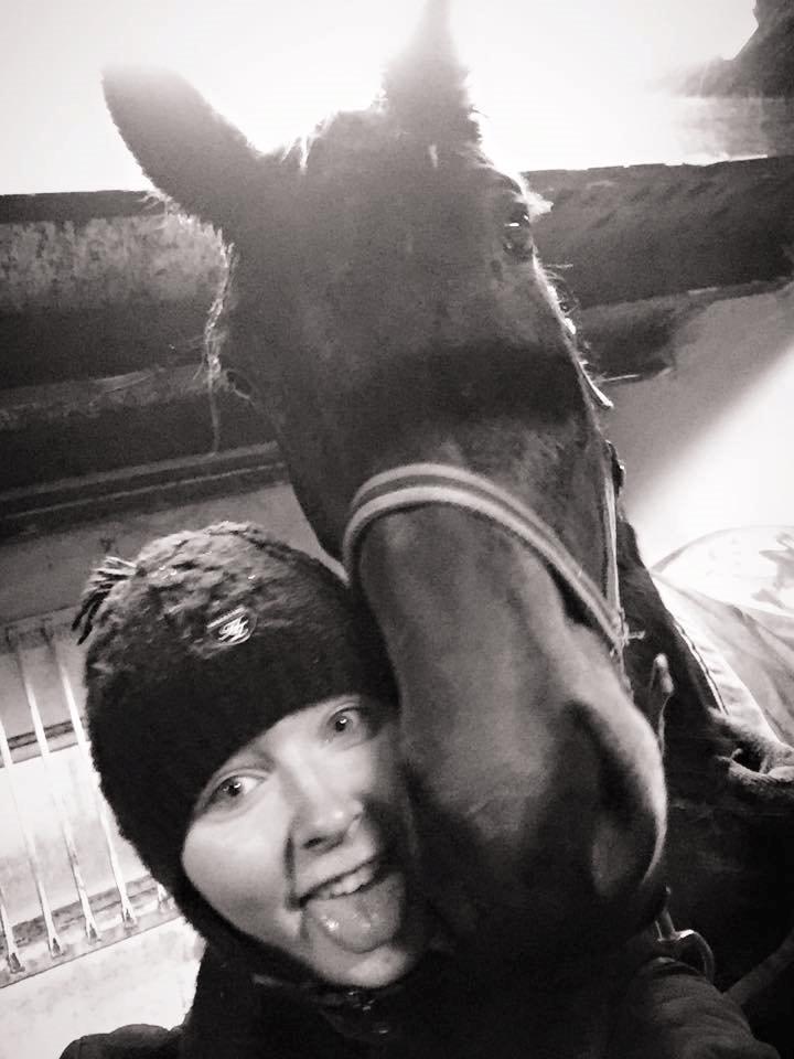 Dansk Varmblod Femme Fetal (Loppe) billede 14