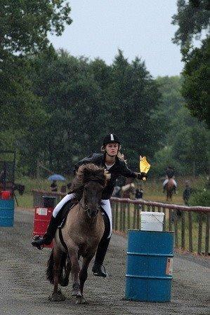 Islænder Gæfa fra Hejelte  -  Imir fra Hejelte Vinder af flagstafetten 2014 billede 10