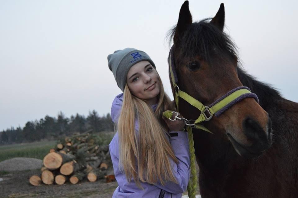 New Forest Angelina Bay -Drømmeponyen- - Lina-piiigen <3 billede 3