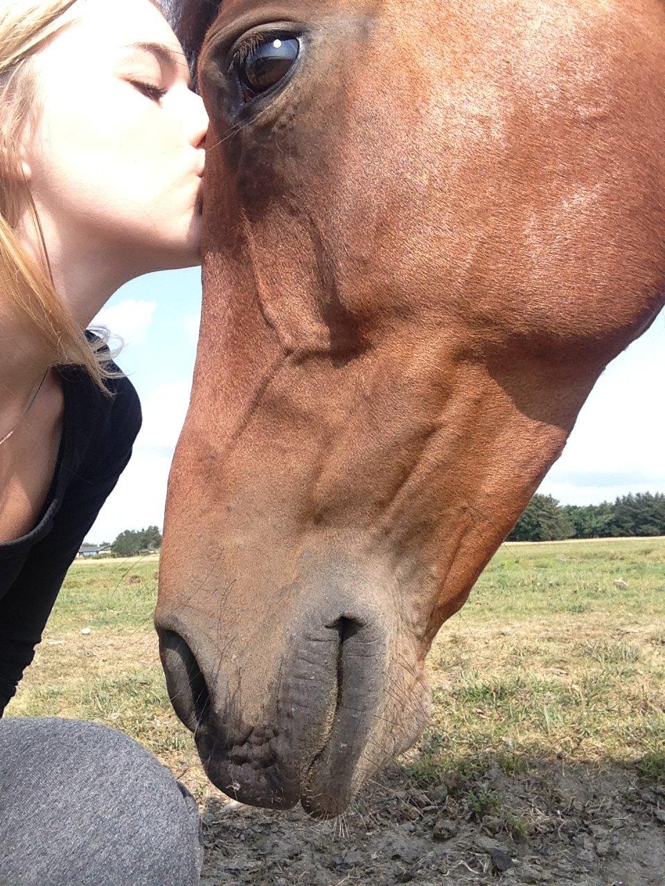 New Forest Angelina Bay -Drømmeponyen- billede 18