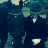 Dansk Varmblod Valliz tidligere lånehest