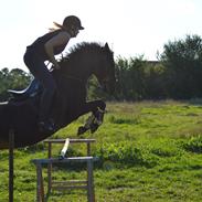 Anden særlig race Black Rose