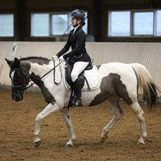 Anden særlig race Fie