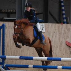 Anden særlig race Redstar