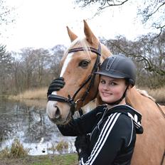 Anden særlig race GOLDEN DANCER (Lille Mus)
