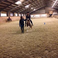 Anden særlig race Kimi *tidl. Elevpony* *R.I.P..*