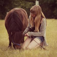 Anden særlig race Tulle (Trold)