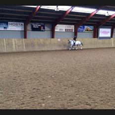 Knabstrupper Rufus den almægtige