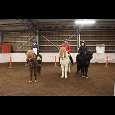 Islænder Háreki frá Marknaragili