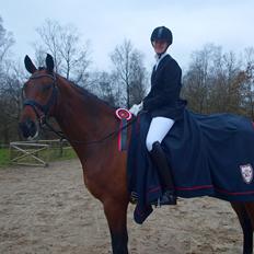 Dansk Varmblod Kjeldgårdens Temtus