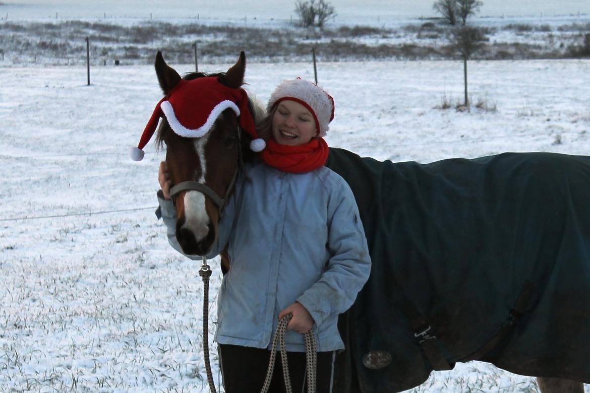 Pinto Padmé - My Soulmate billede 19