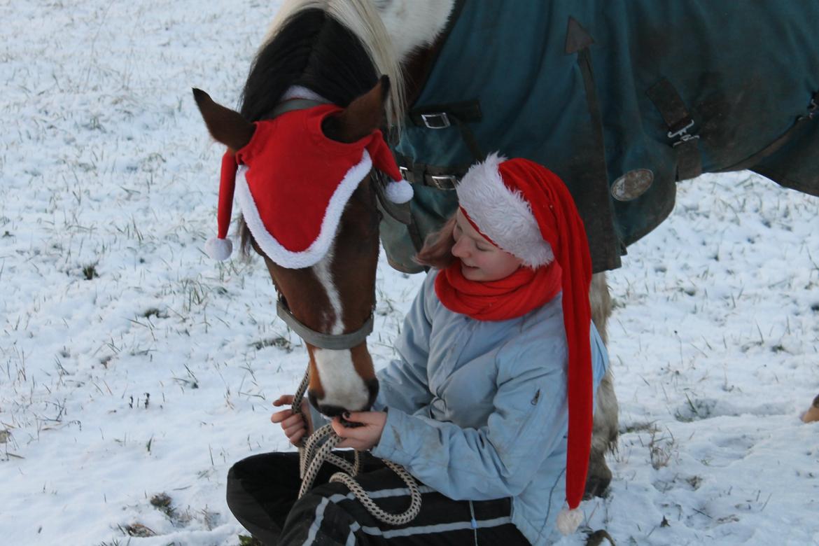 Pinto Padmé - My Soulmate billede 20