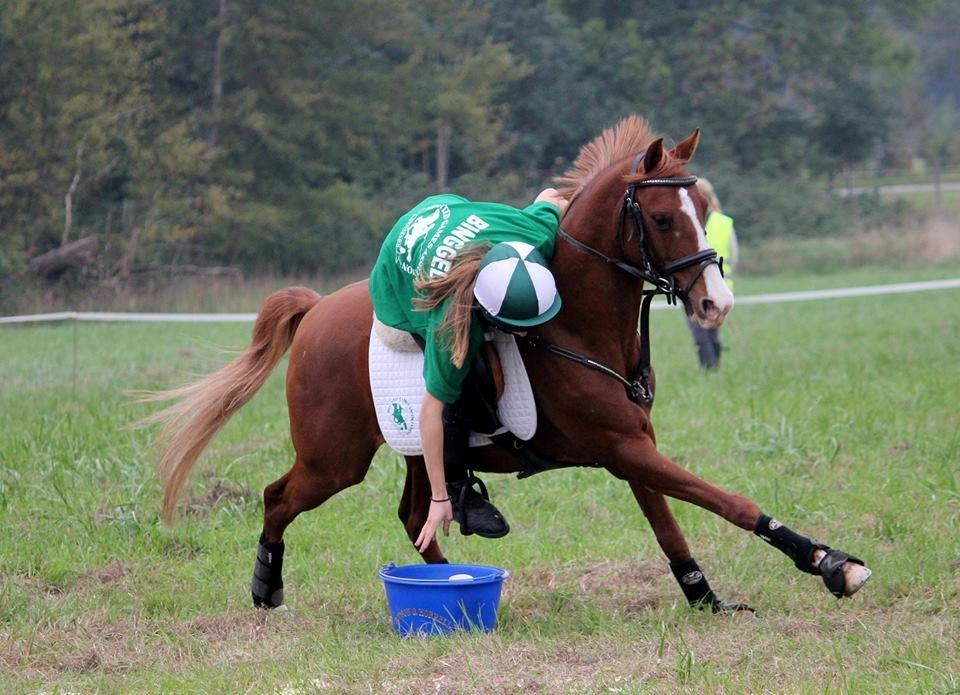 DSP Nyholms Sinatra billede 3