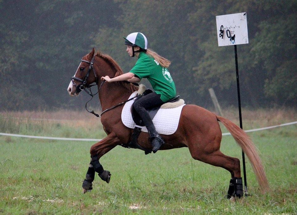 DSP Nyholms Sinatra billede 6