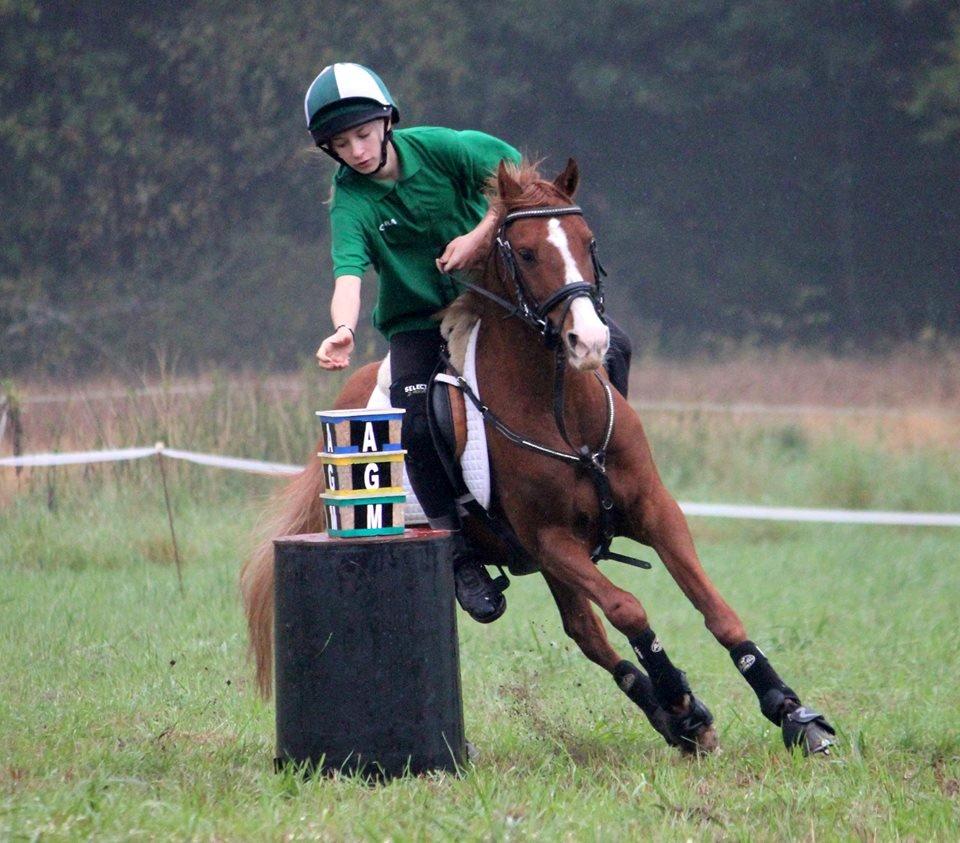 DSP Nyholms Sinatra billede 1